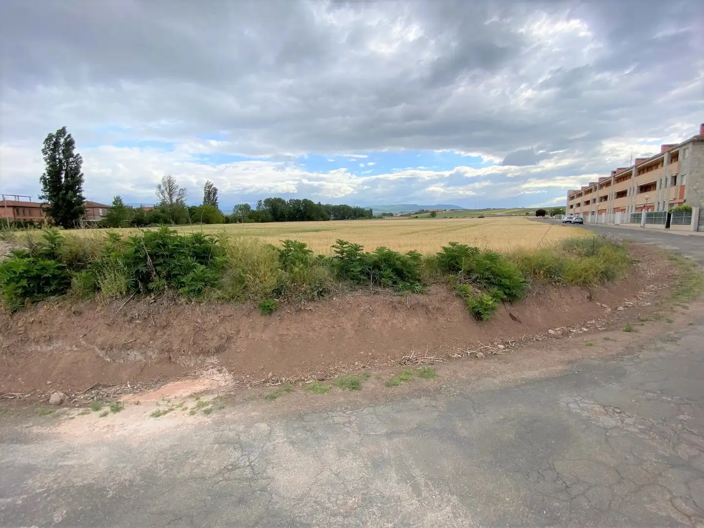 Terreno residenziale in vendita a Alesanco, imagen 5