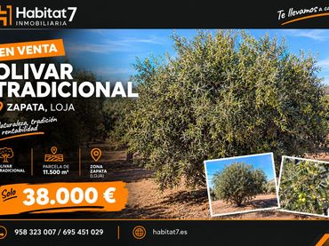 Casa rustica in vendita a de Agicampe y Zapata