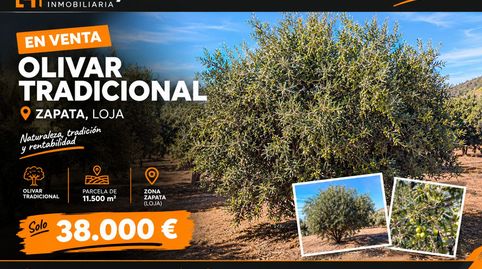 Finca Rúst. en venta en Loja.