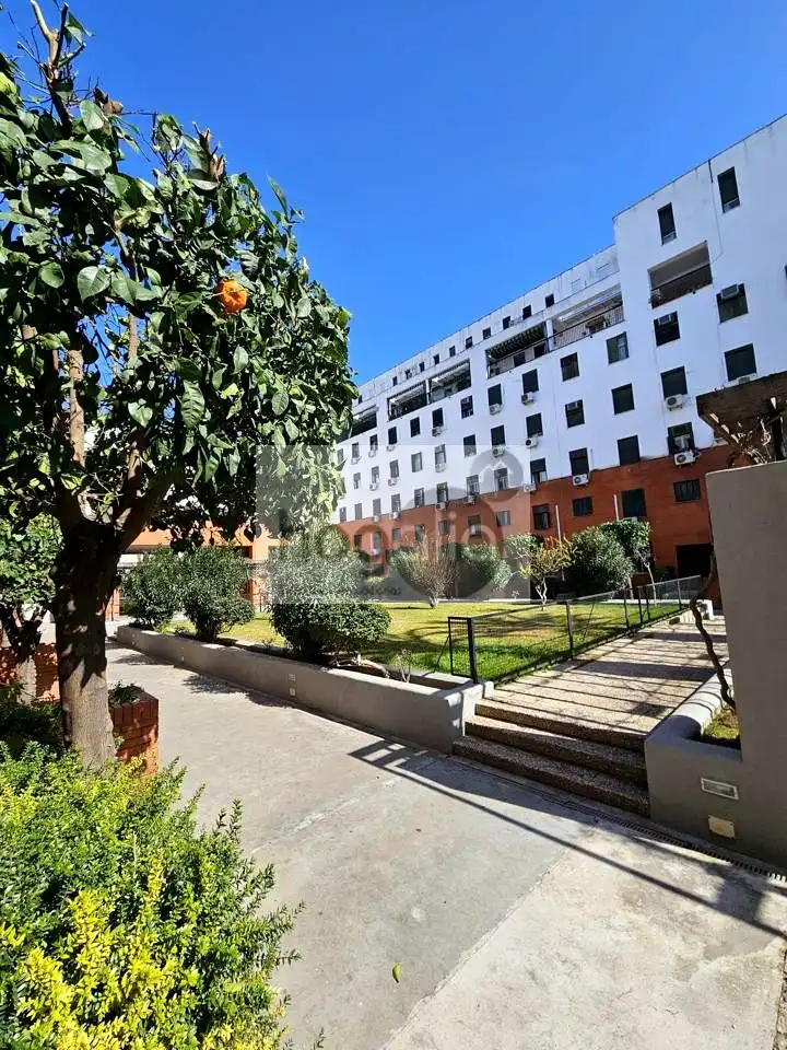 Duplexes for rent in Pino Montano - Consolación