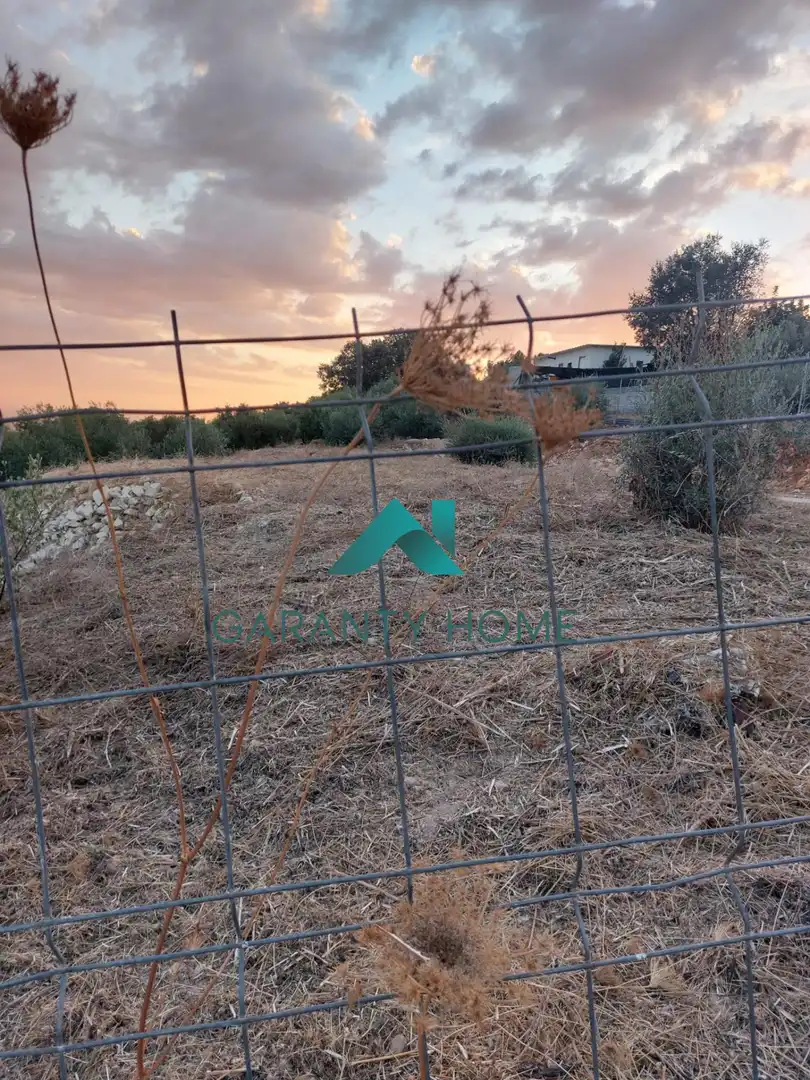 Rural land for sale in Poleares, imagen 2
