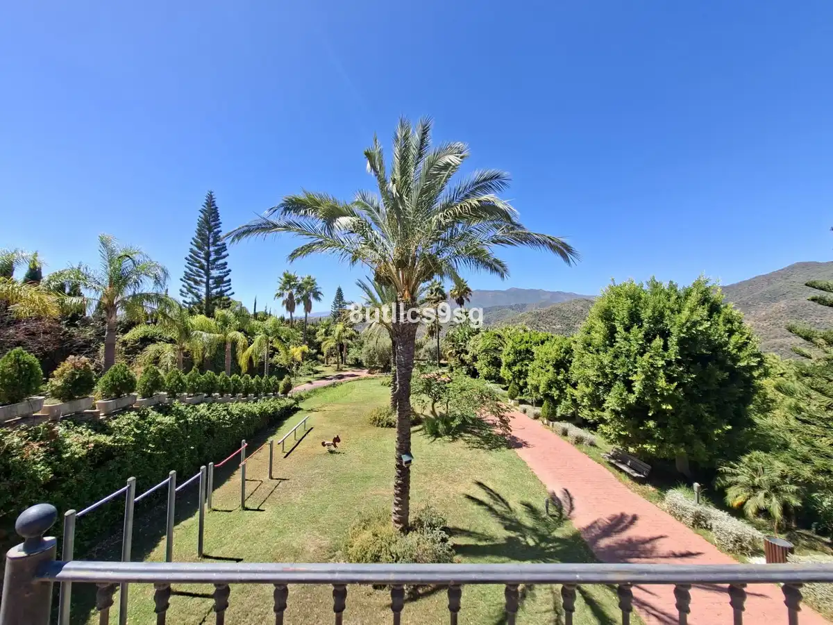 Jardín de Finca rústica en venta en Istán, Málaga