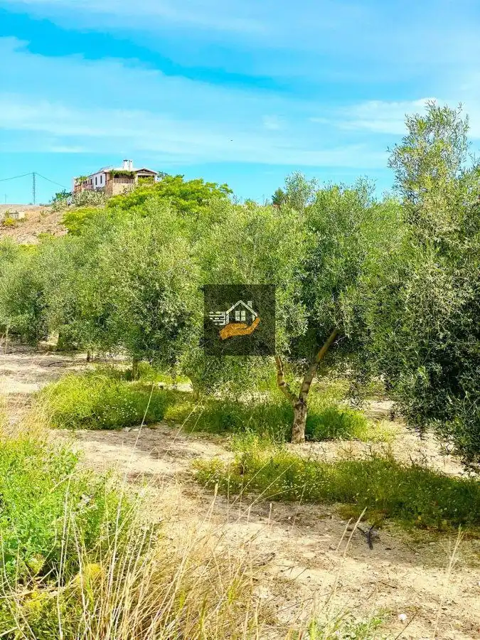 Lands and plots for sale in Vélez-Rubio, imagen 10