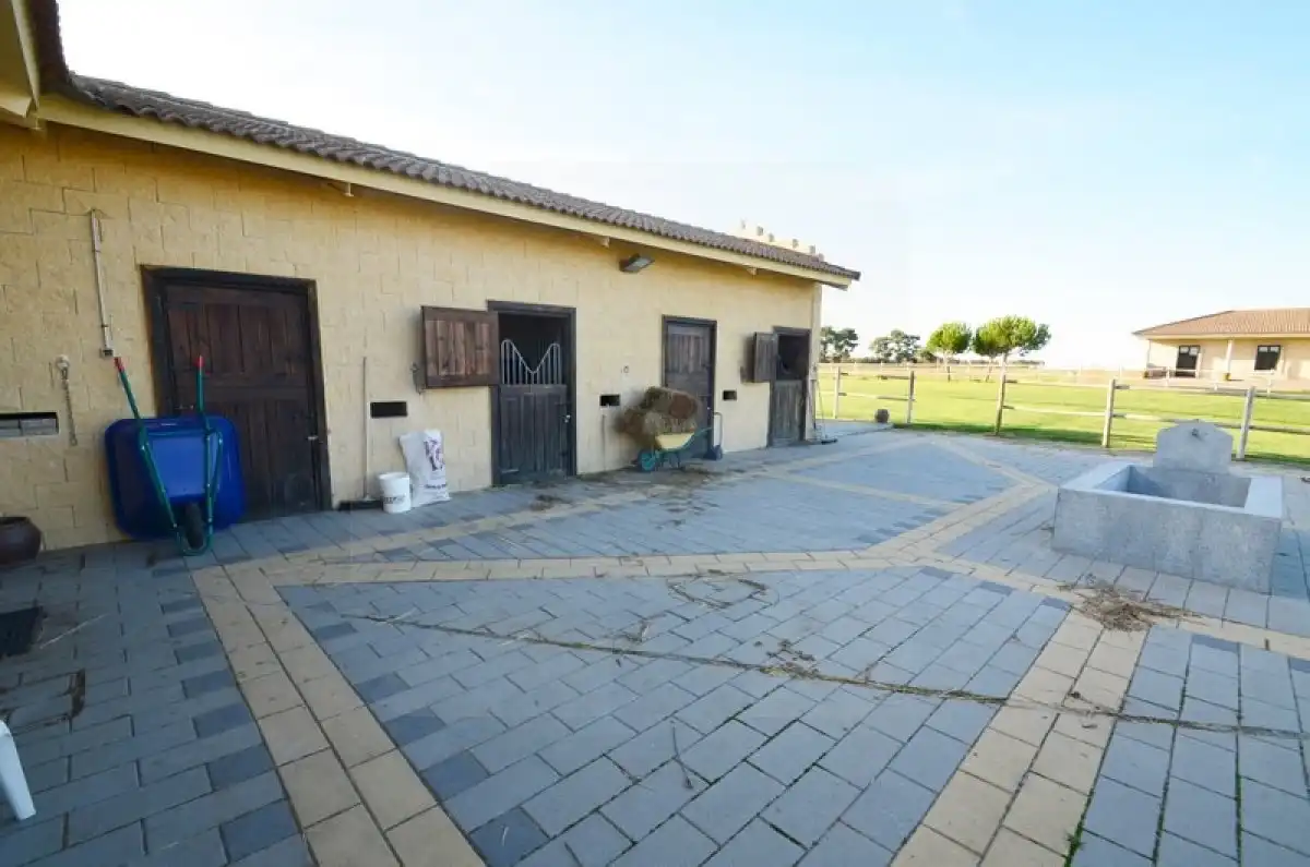 Finca rústica en venta en EXTRARRADIO, Palacios de Goda