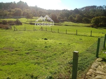 Terreno rústico en venta en Covelo