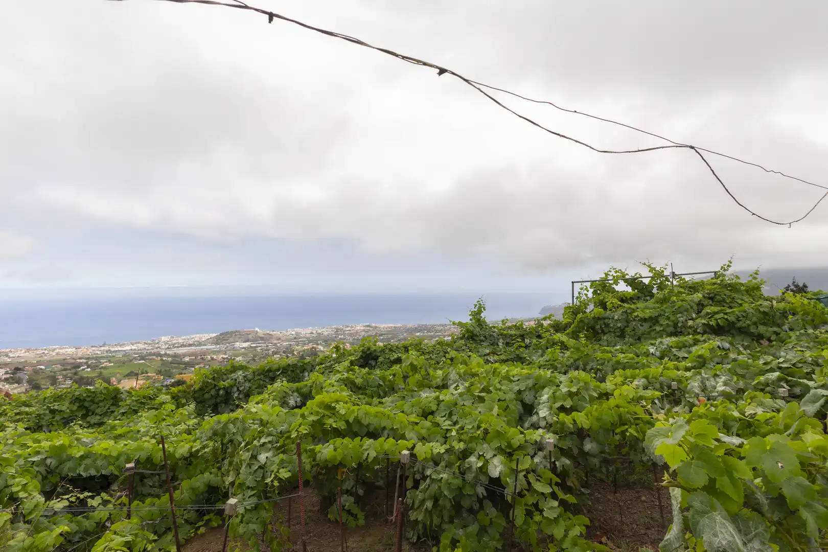 Vista exterior de Finca rústica en venta en La Orotava con Jardín privado, Terraza y Trastero