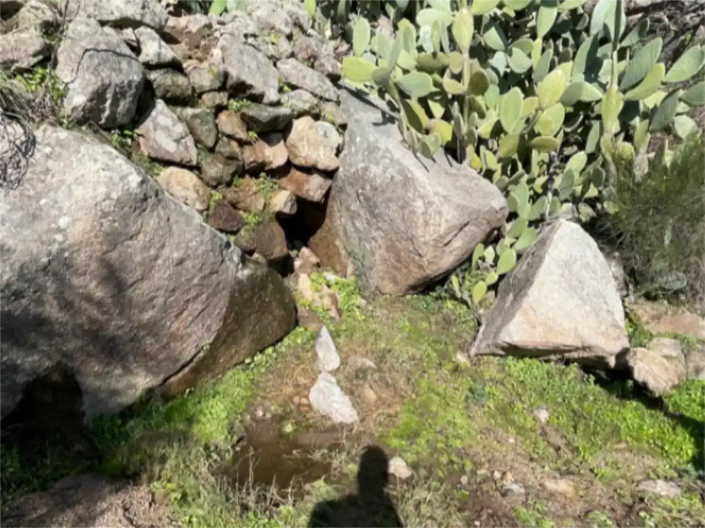 Garten von Grundstücke zum Verkauf in Montánchez
