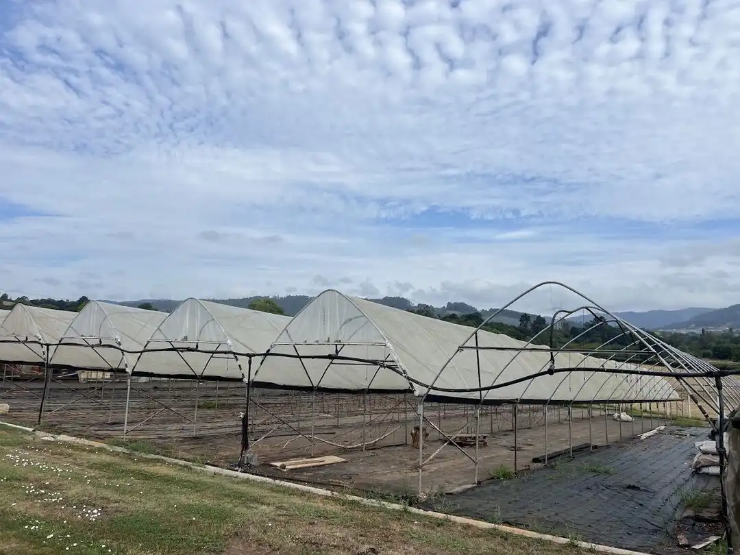 Terrenys i solars en venda a Llanera, imagen 15