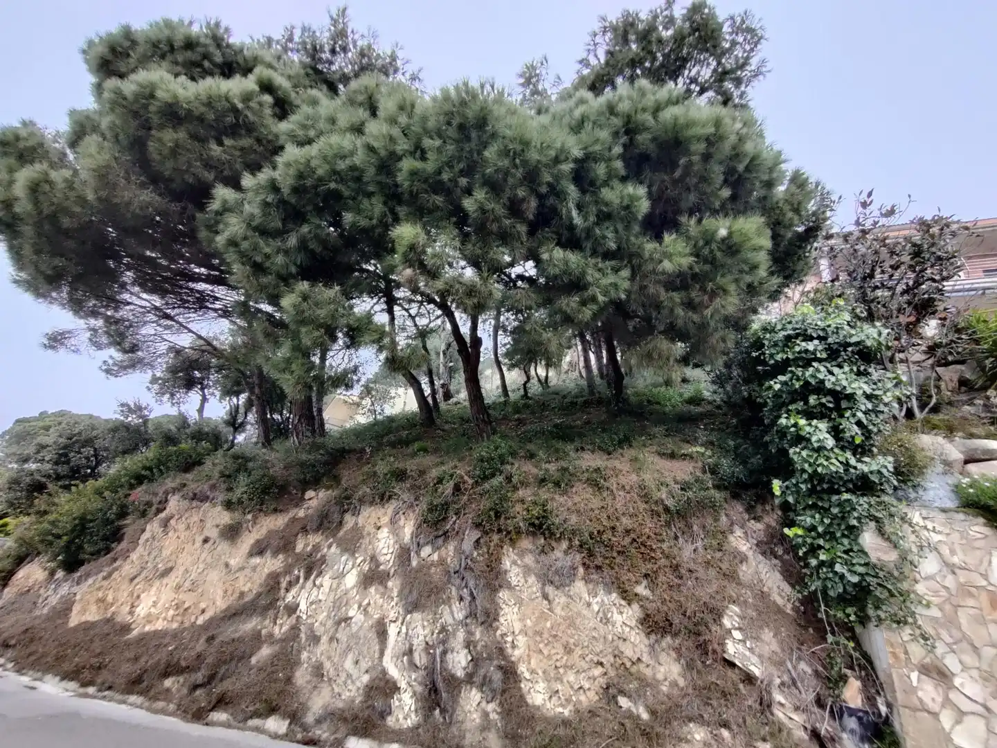 Terreno residenziale in vendita a Santa Cristina - Sant Francesc, imagen 10