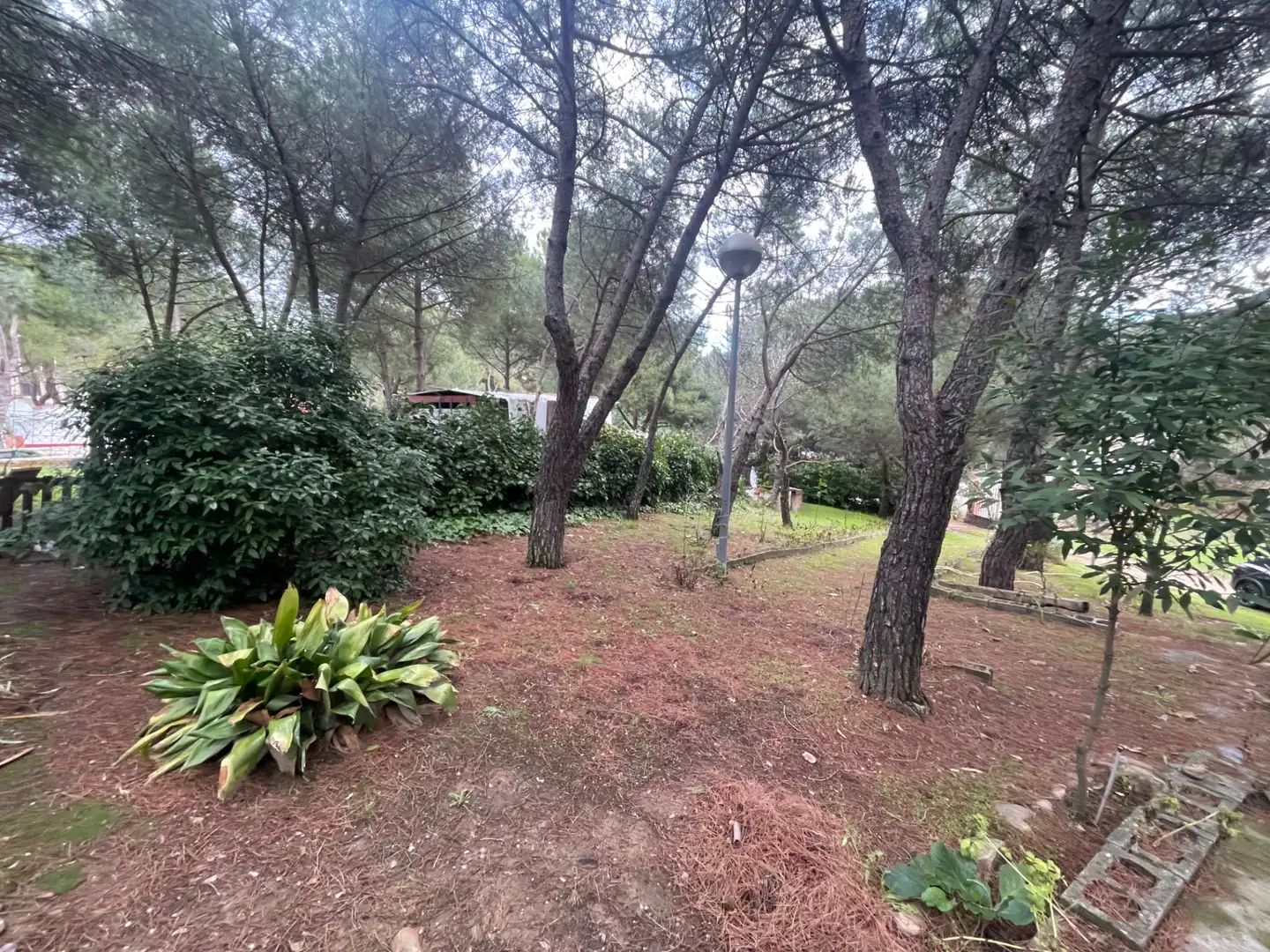 Jardín de Residencial en venta en Uceda