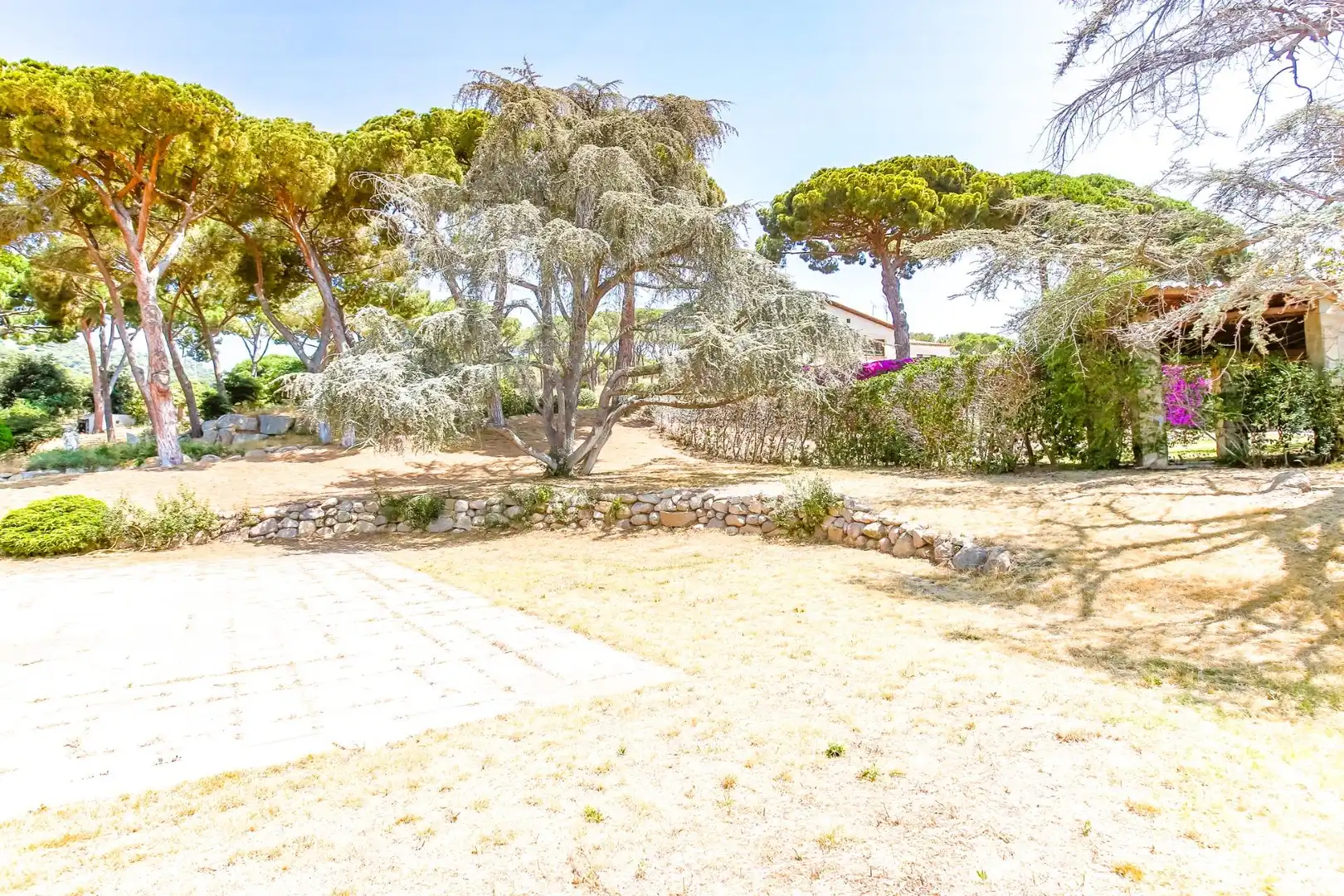 Finca rústica en venda a Carretera Carretera de la Mata, 76, El Palau - Escorxador