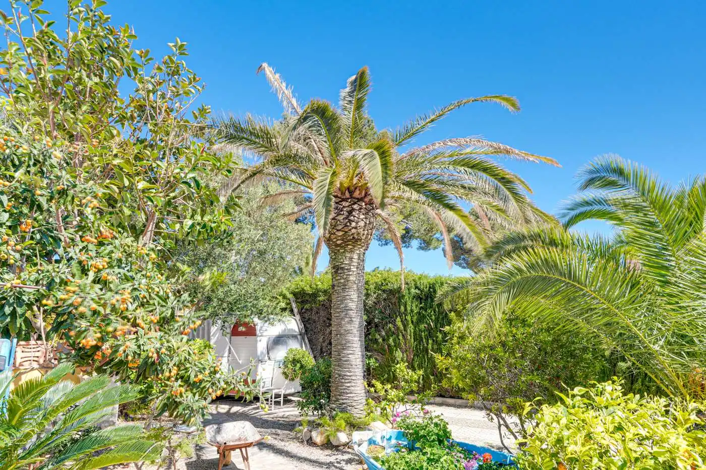 Jardín de Casa o chalet en venta en Mont-roig del Camp con Aire acondicionado, Jardín privado y Terraza