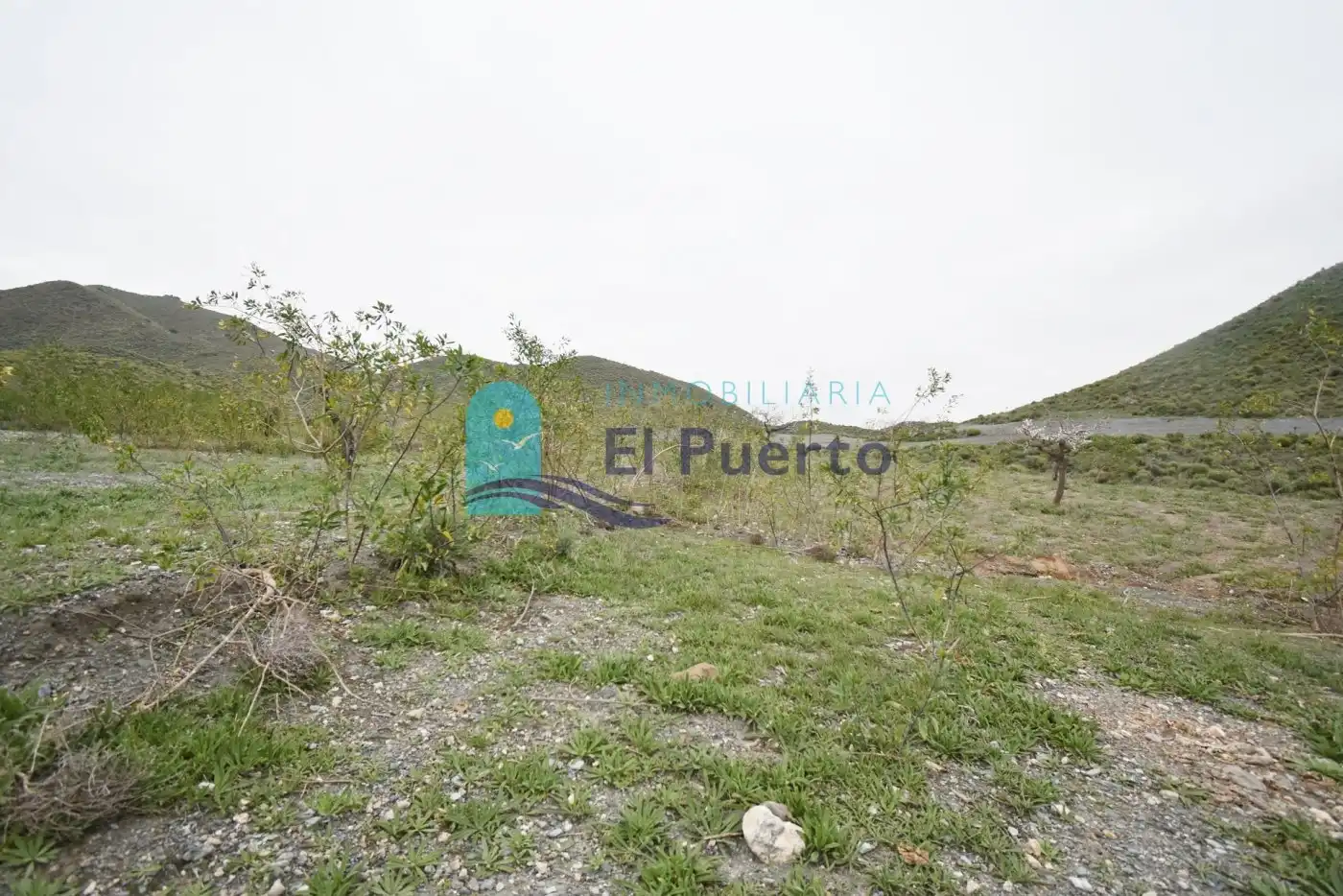 Terreno rústico en venta en Pedanías Oeste, imagen 3