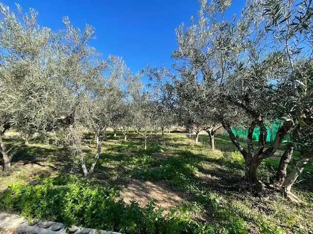 Casa o xalet en venda en Alicante / Alacant amb Aire condicionat, Calefacció i Jardí privat