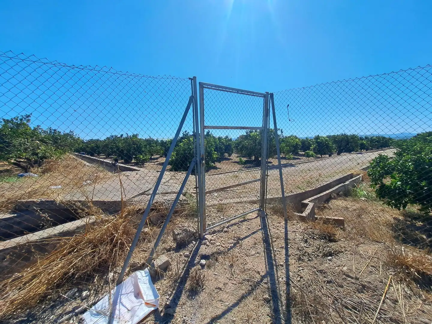 Terreny rústic en venda a Polígono La Febrera, imagen 17
