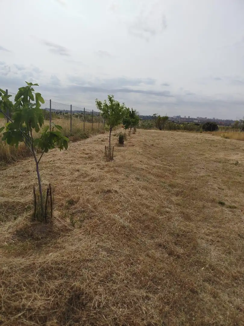 Terreno rústico en venta en Fuencarral - El Pardo, imagen 16