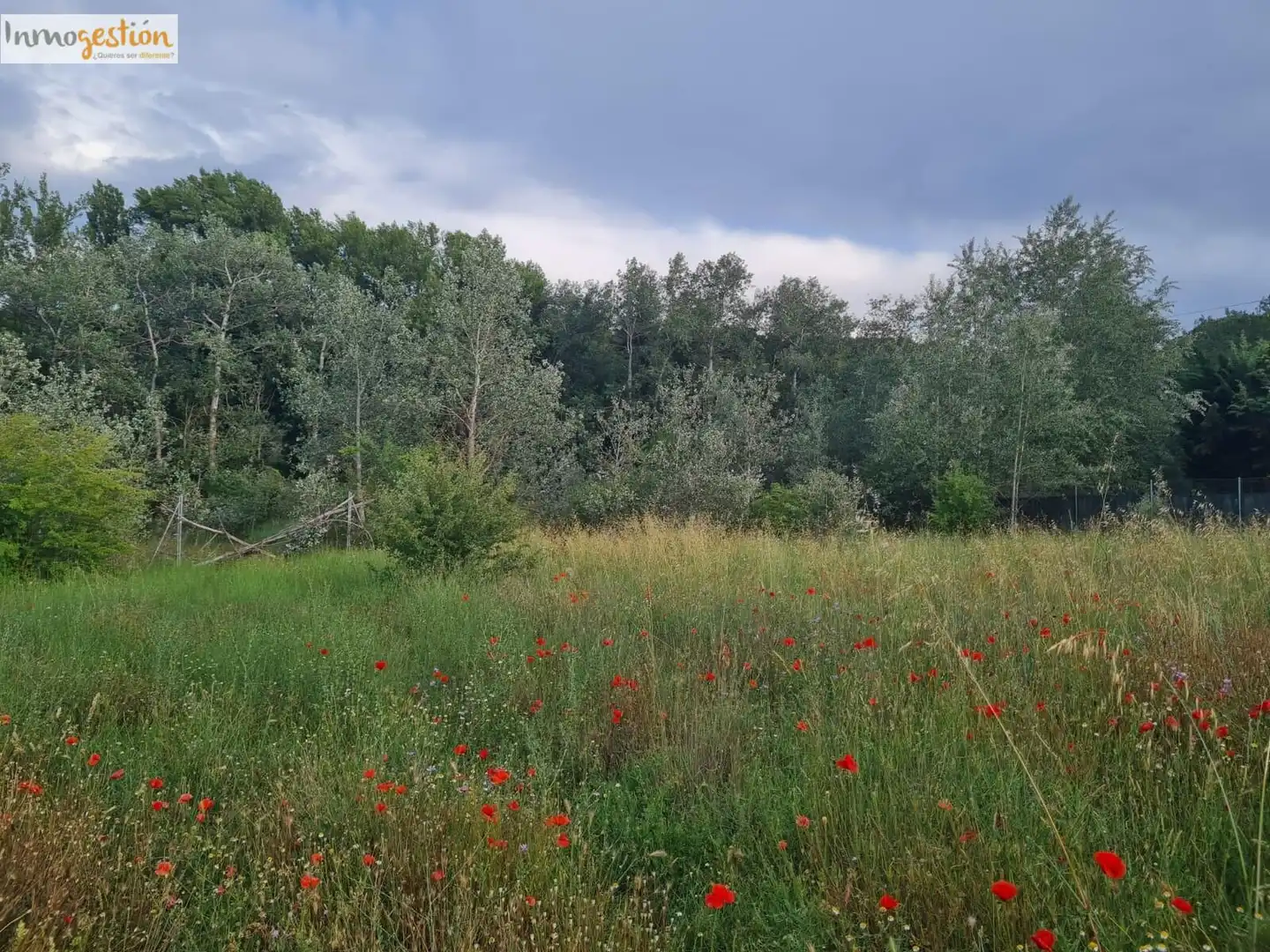 Terreno rustico in vendita a Tudela de Duero, imagen 3