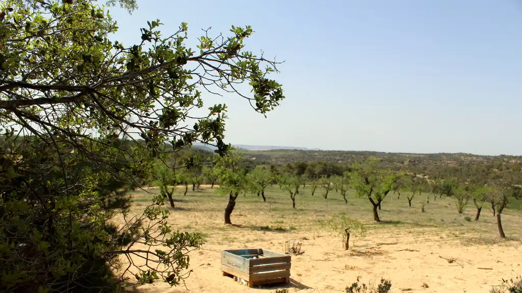 Jardí de Finca rústica en venda en Maella