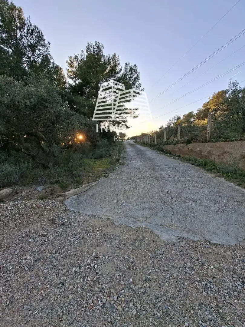 Exterior view of Land for sale in Les Borges del Camp