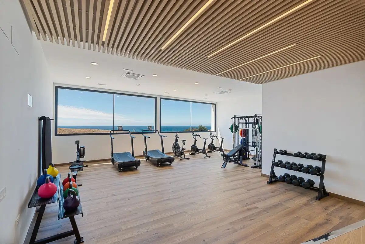 Ático con terraza en venta en Calle Doctor García Verdugo 23, imagen 31