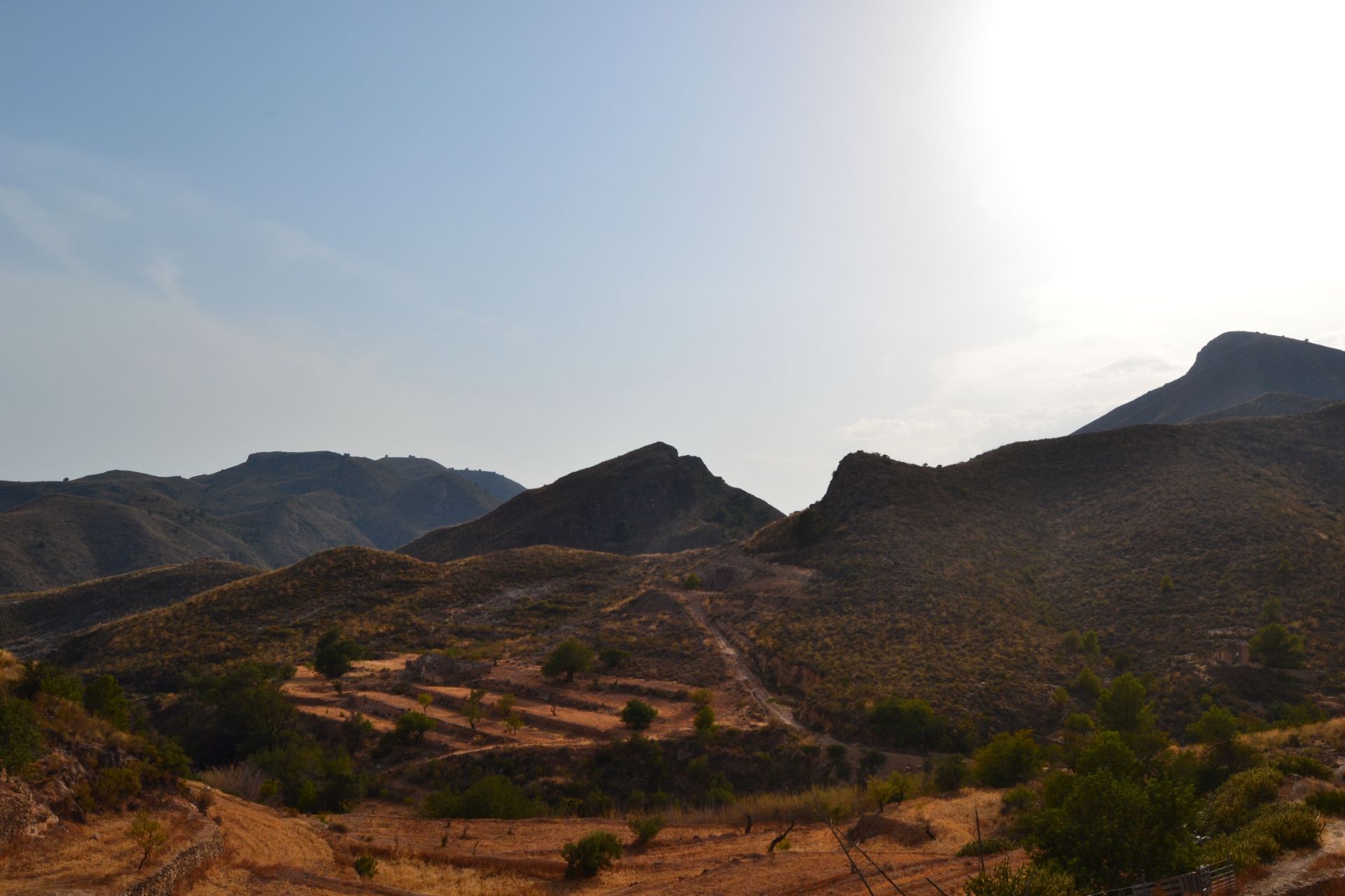 Exterior view of Country house for sale in Lorca  with Private garden