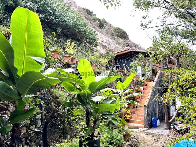 Finca rústica en Venta en Vallehermoso