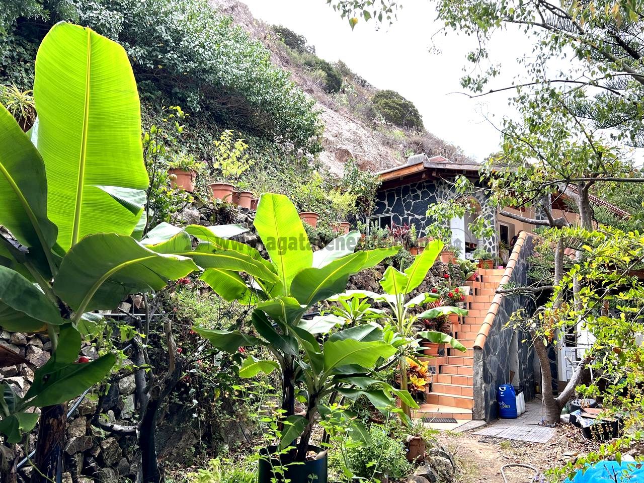 Garden of Country house for sale in Vallehermoso  with Air Conditioner, Heating and Private garden