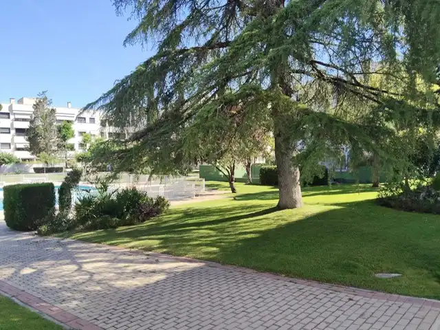 Exterior view of Flat for rent in Pozuelo de Alarcón  with Air Conditioner, Heating and Private garden