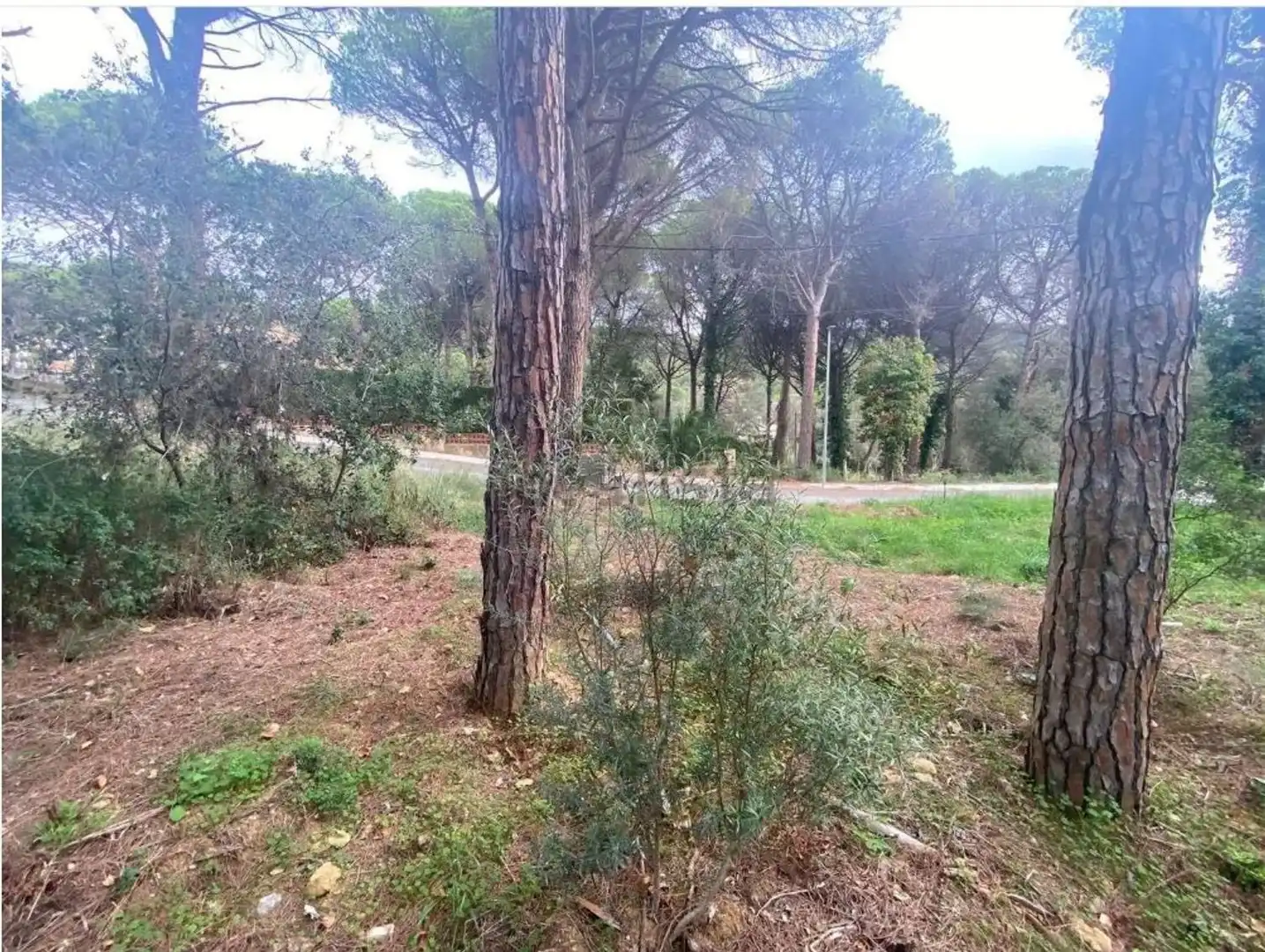 Maison avec jardin à vendre à Mas Pere - Río de Oro, imagen 19