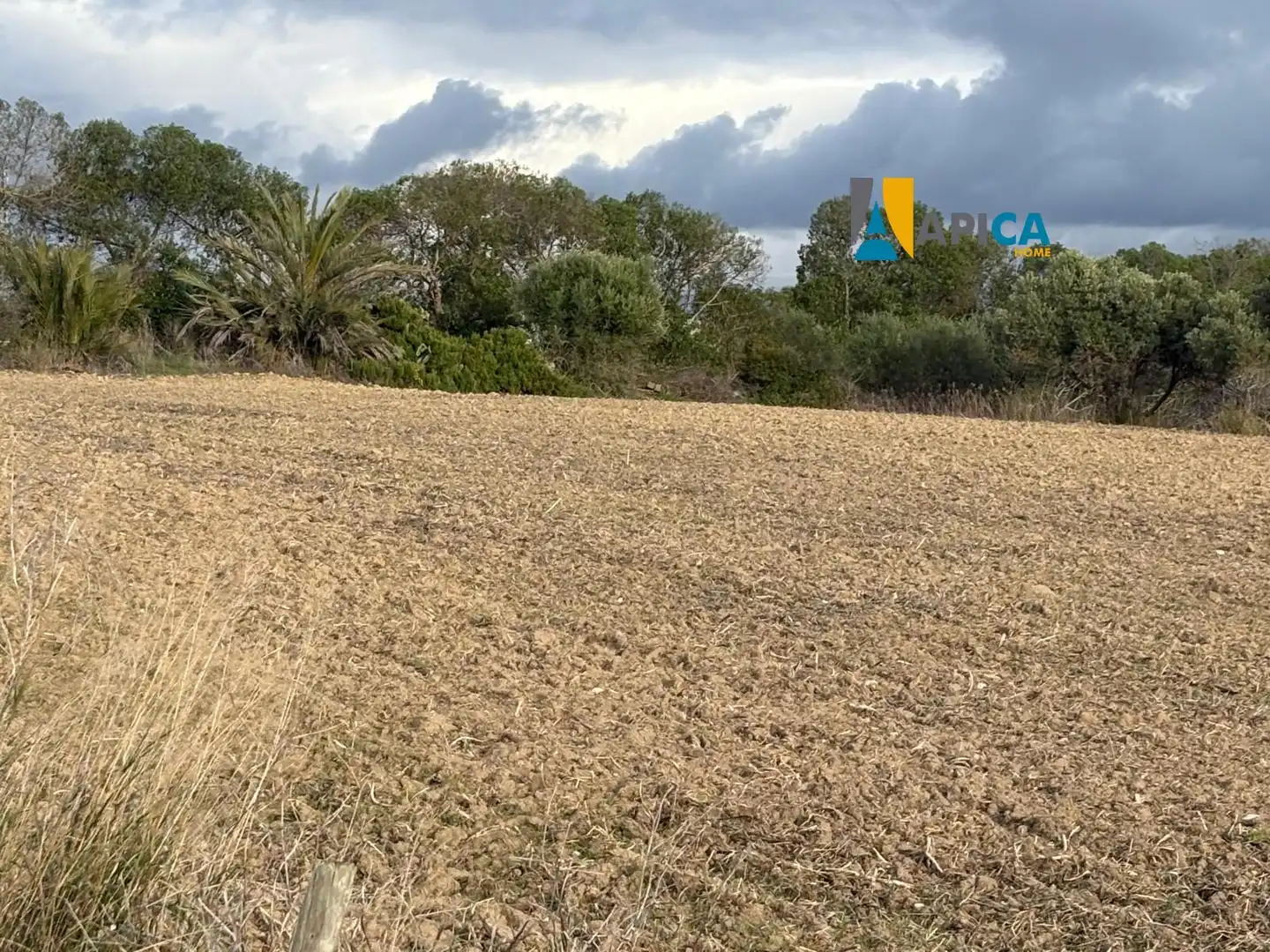 Rustikales Grundstück zum Verkauf in Los Franceses – La Vega, imagen 5