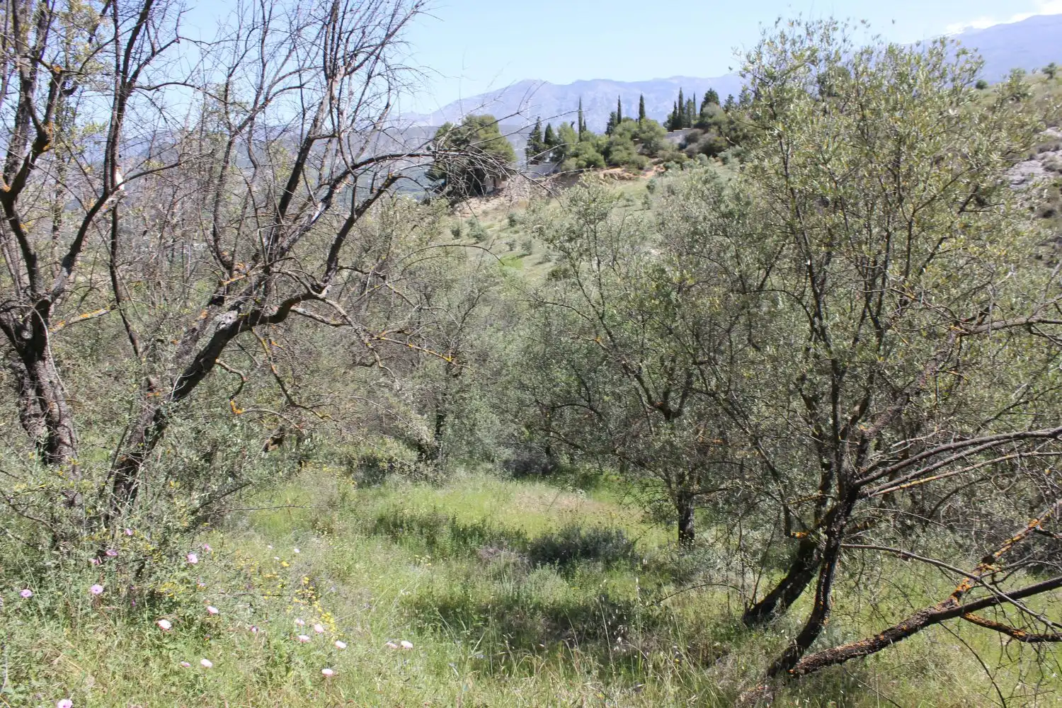 Terreni e lotti in vendita a andalucia, imagen 14
