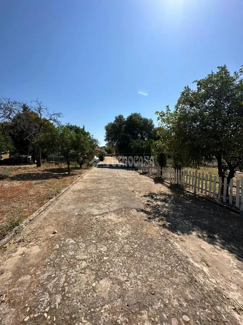 Flat for sale in Alcolea