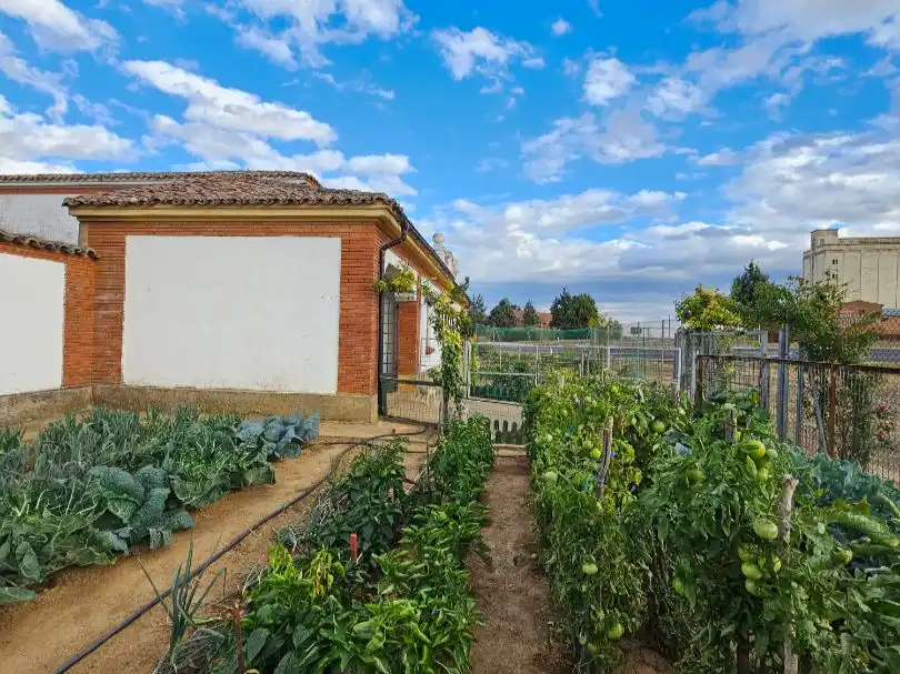 Garten von Geschaftsraum zum Verkauf in Osorno la Mayor mit Terrasse
