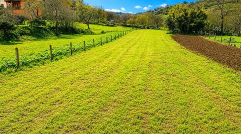 Parc.Urbana en venta en Grado., immagine 4