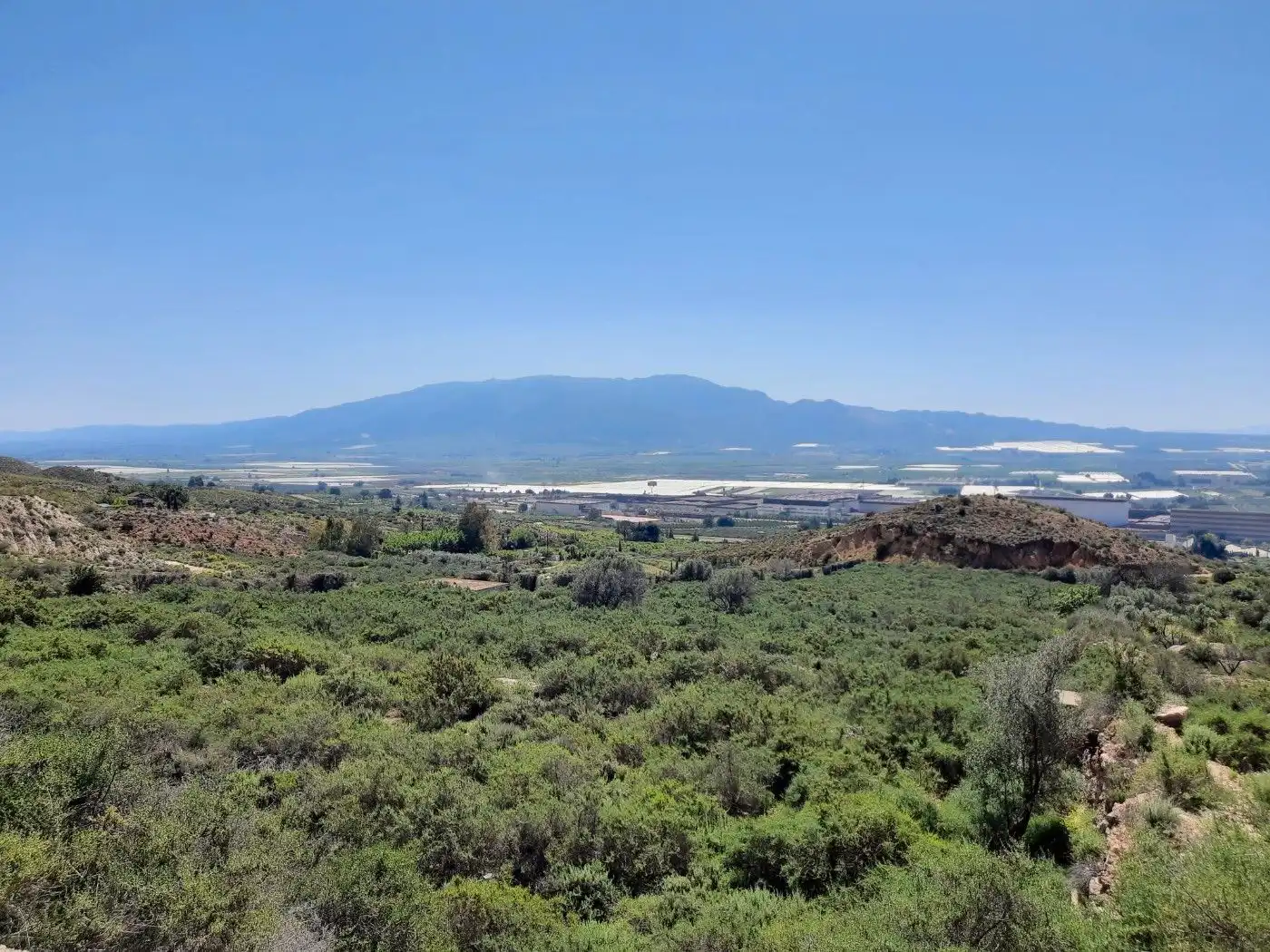 Terreny residencial en venda a Alhama de Murcia ciudad, imagen 3