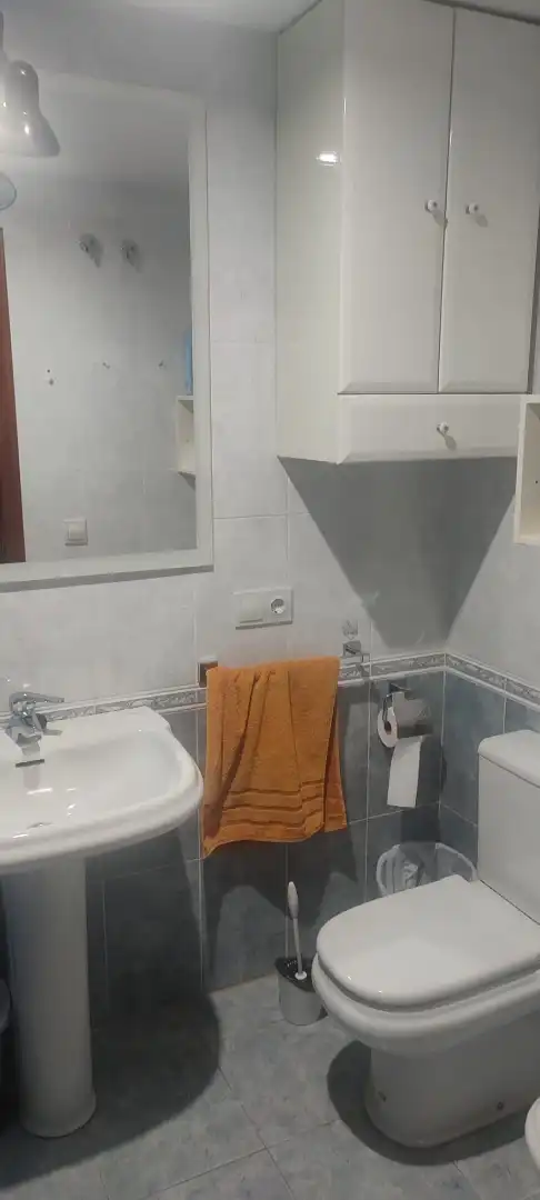 Bathroom of Flat for rent in Torrox  with Terrace, Furnished and Oven