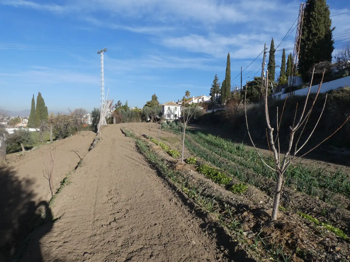 Residential for sale in Huétor Vega