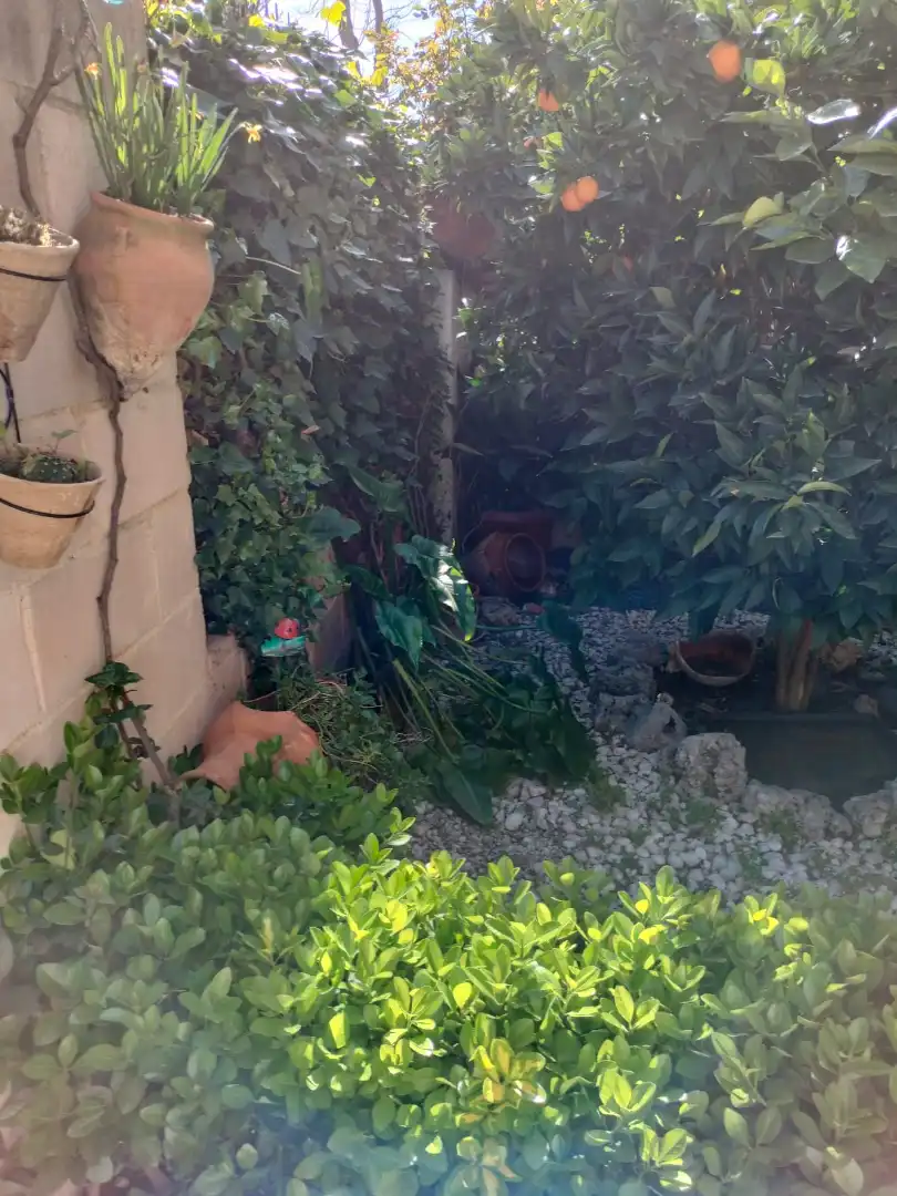 Jardí de Casa o xalet en venda en Valdemoro amb Aire condicionat, Calefacció i Jardí privat