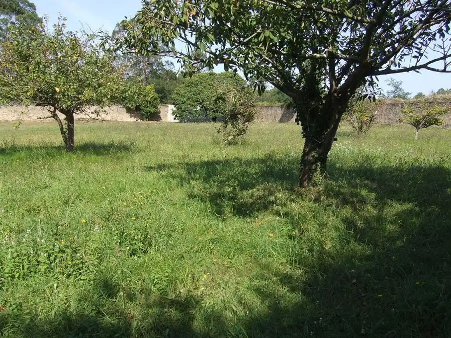 Casa o chalet en venta en El Franco 