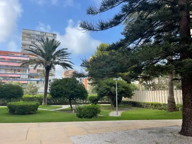 Piso con ascensor en alquiler en Avinguda de la Costa Blanca, imagen 29