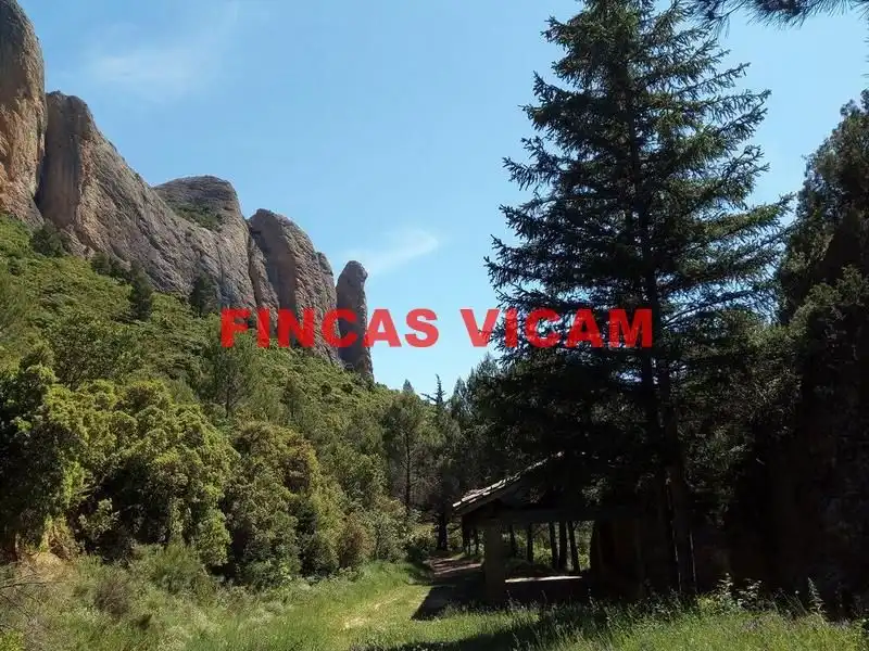 Finca rústica en venda en Agüero amb Calefacció, Jardí privat i Terrassa