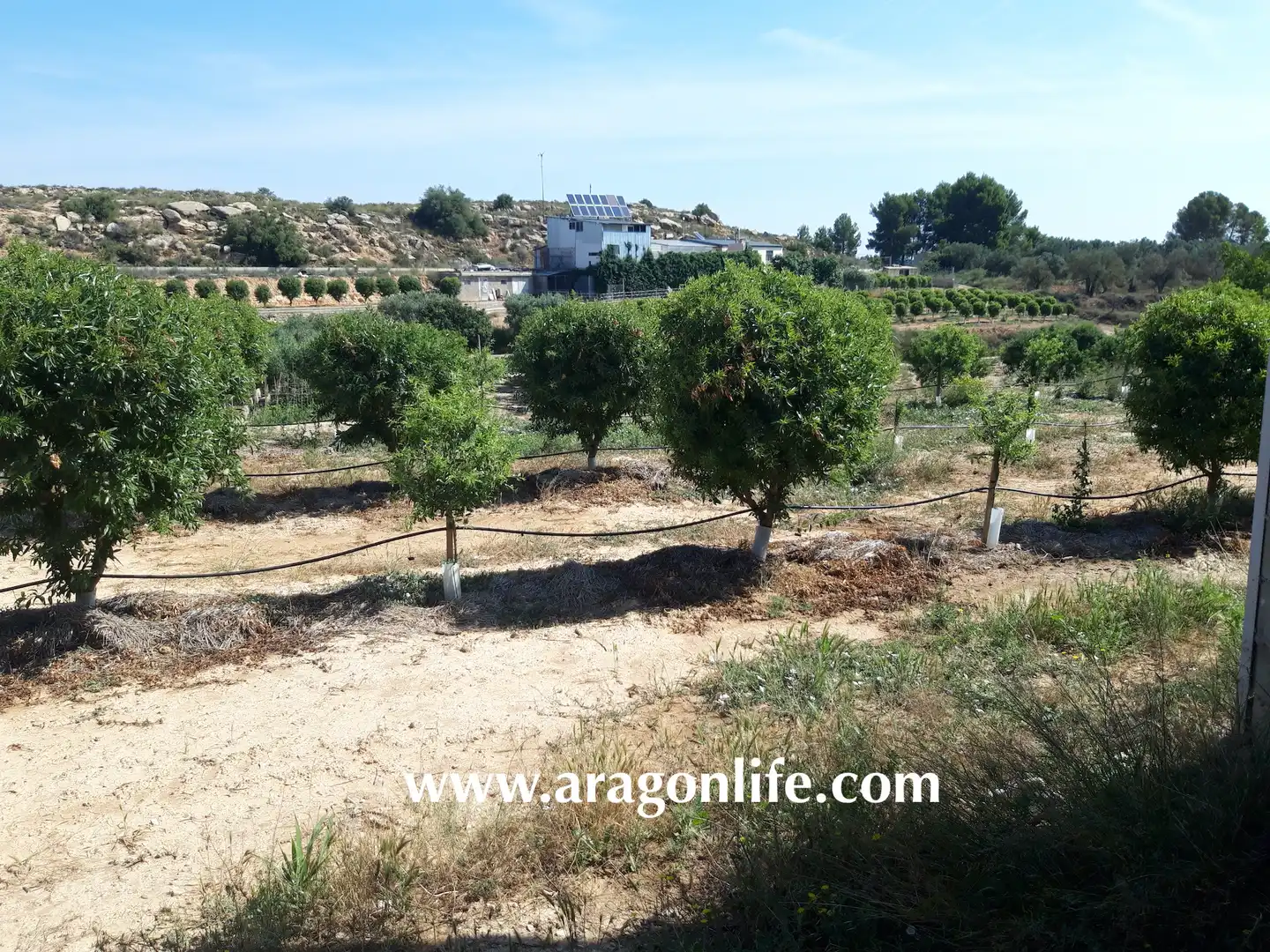 Finca rústica en venta en Caspe con Amueblado