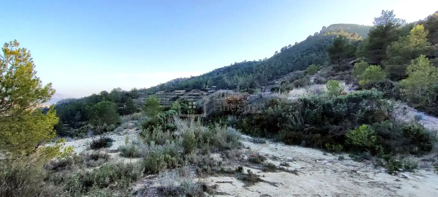 Terreny rústic en venda a Les Urques, imagen 7