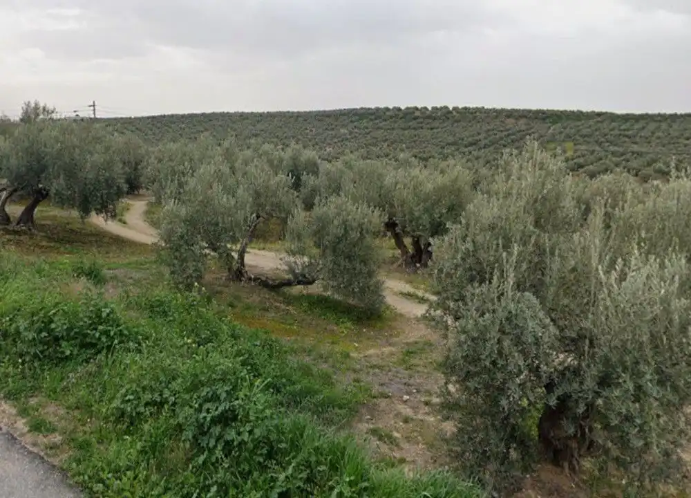 Casa rústica en venda a Sanlúcar la Mayor, imagen 2