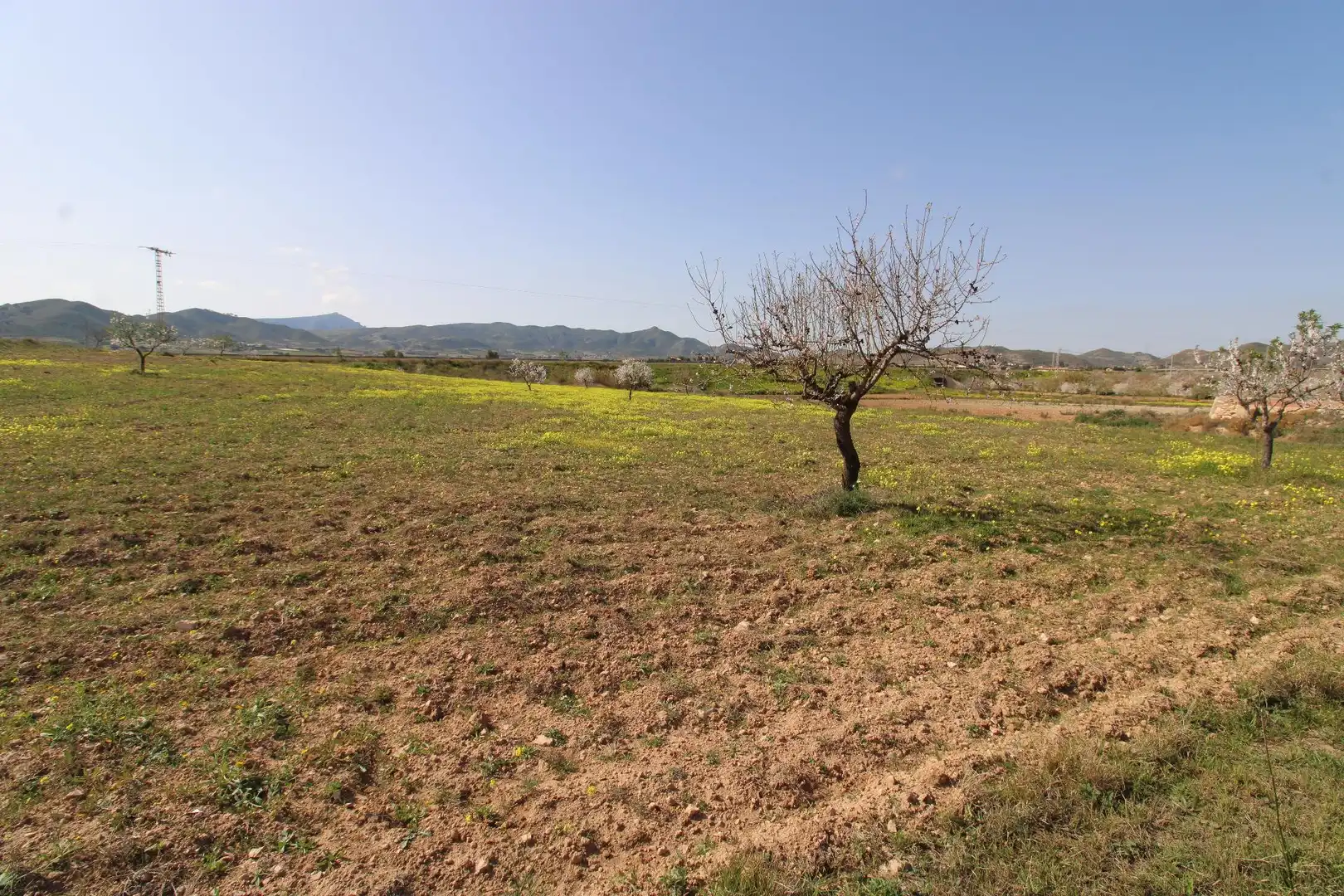 Grundstücke und Bauplätze zum Verkauf in Oria, imagen 4