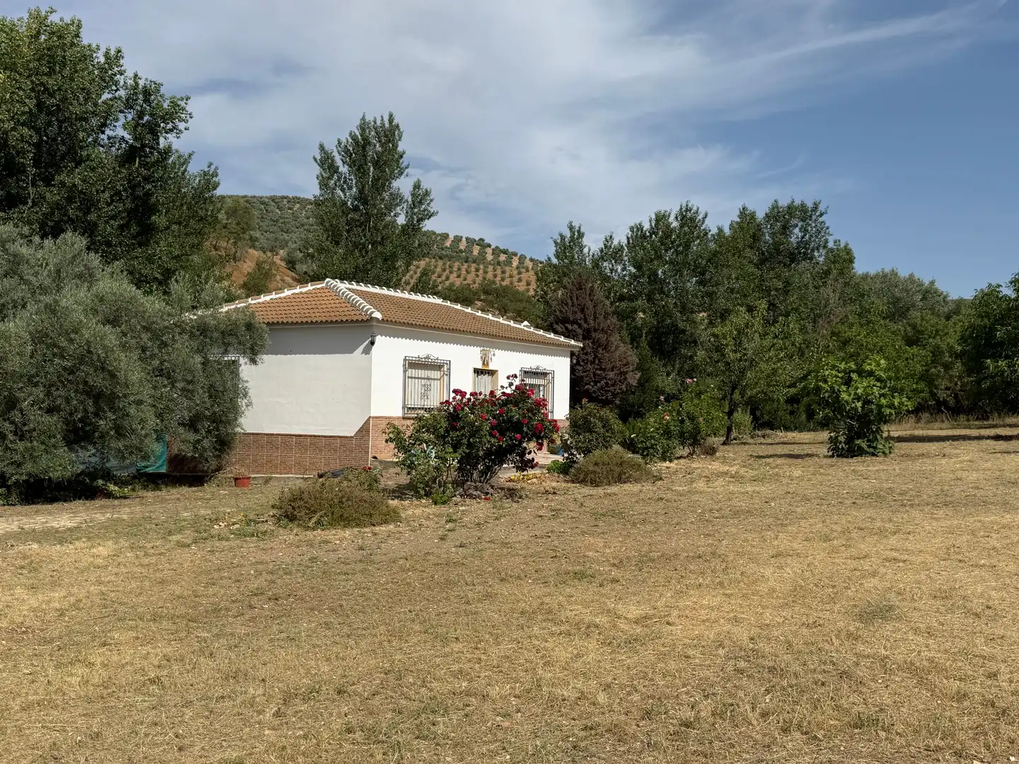 Jardín de Finca rústica en venta en Iznájar con Jardín privado y Terraza