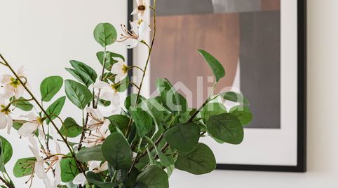 Foto 4 de Piso en venta en El Ejido, Málaga Capital