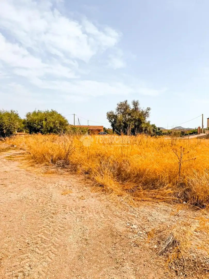 Rural land for sale in Turre, imagen 5