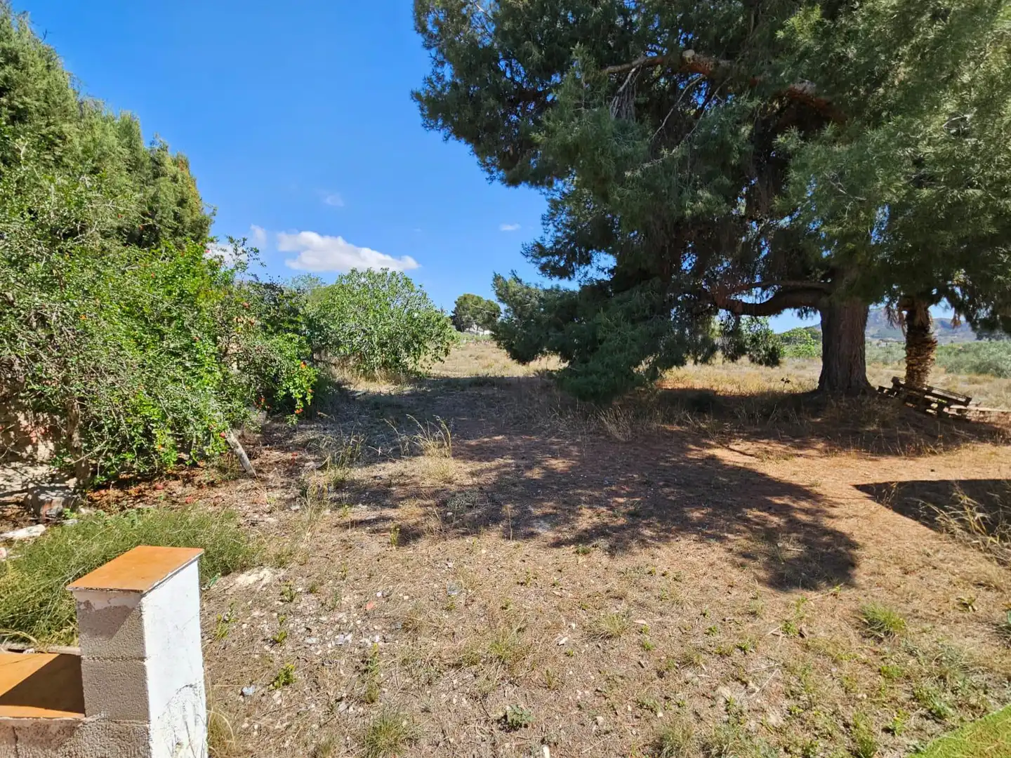 Country house for sale in Petrer, imagen 26