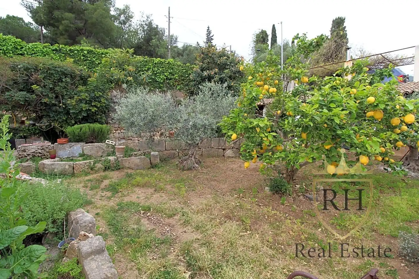 Jardí de Casa o xalet en venda en Pollença amb Aire condicionat, Jardí privat i Terrassa
